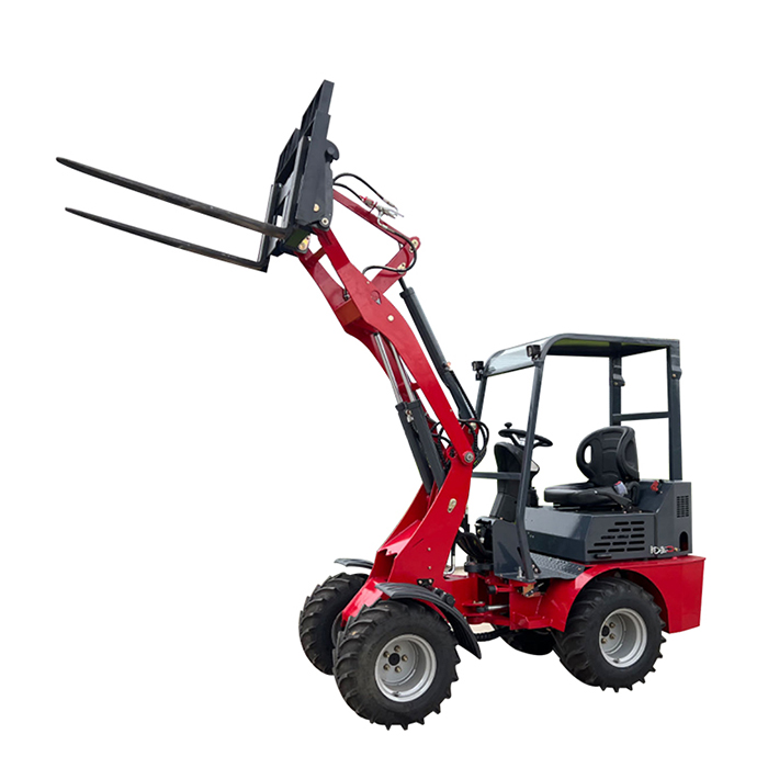 China Forklift for sale