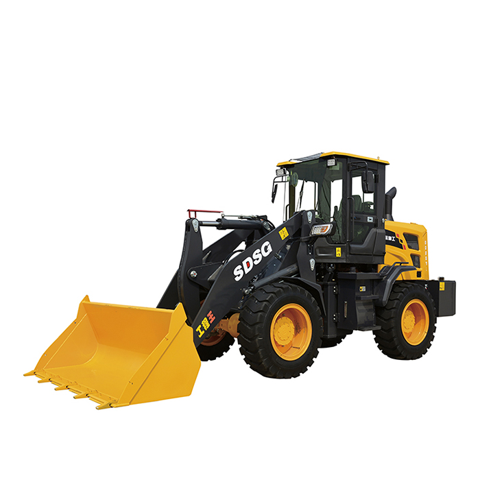 China Forklift for sale